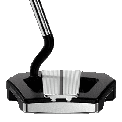 image showing the PXG Allan Putter from the back