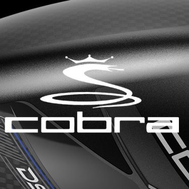 Banner displaying the Cobra logo with a black and white cobra driver in the background